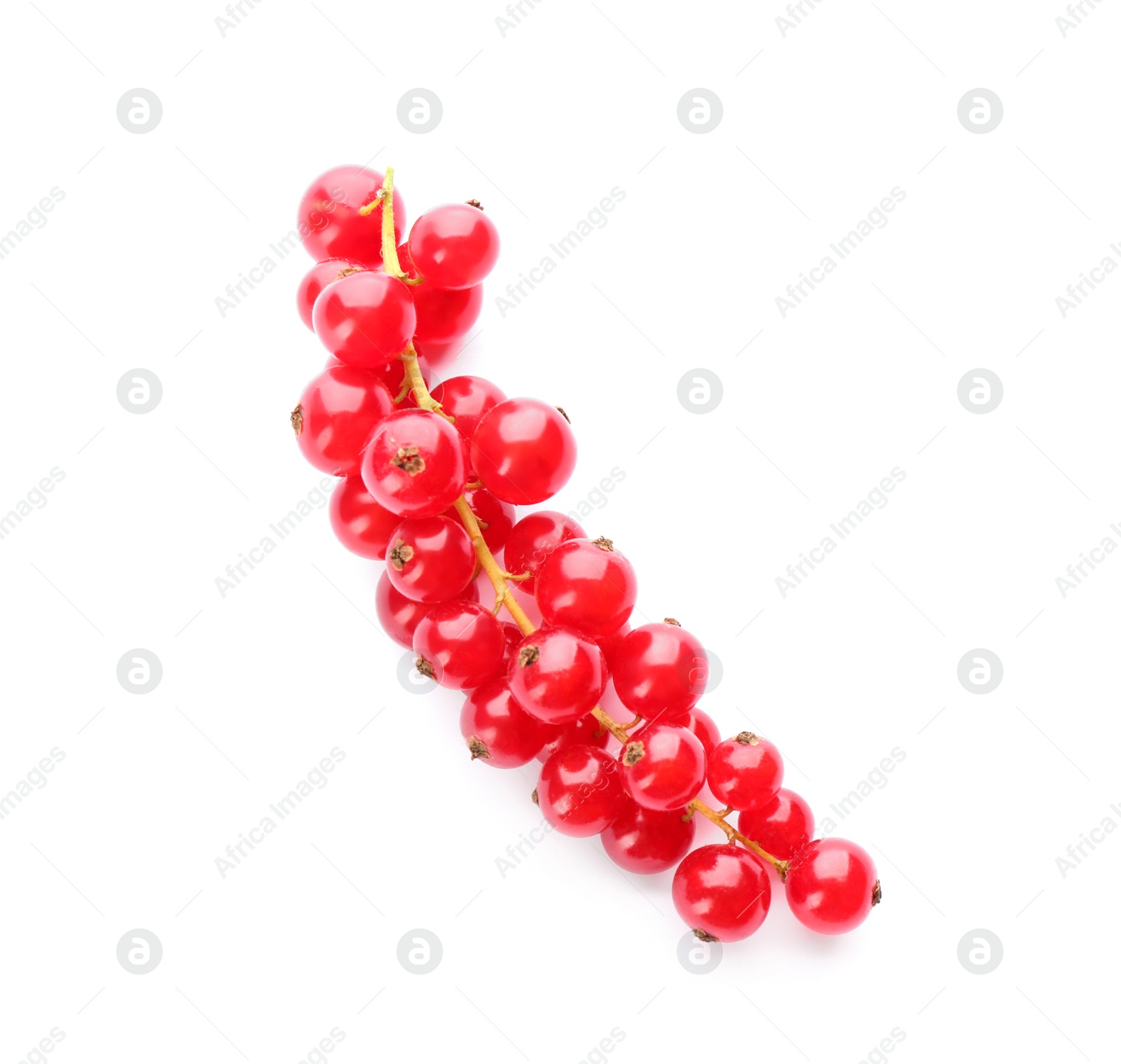 Photo of Delicious ripe red currants isolated on white