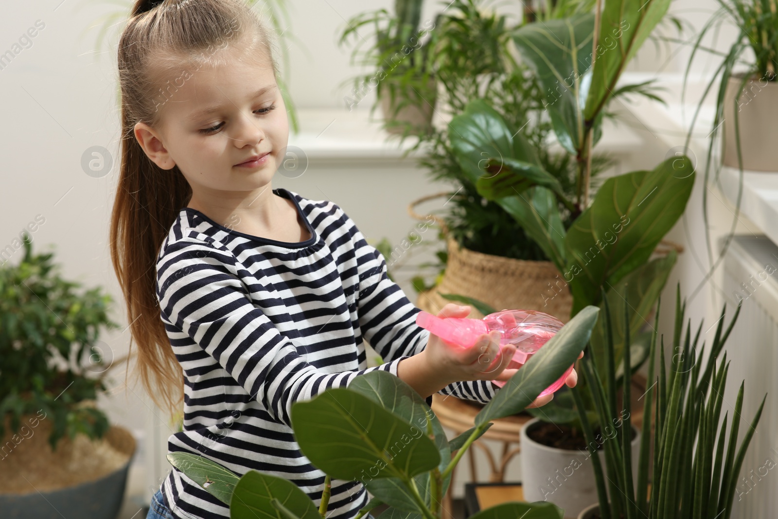 Photo of Cute little girl spraying beautiful green plant at home. House decor