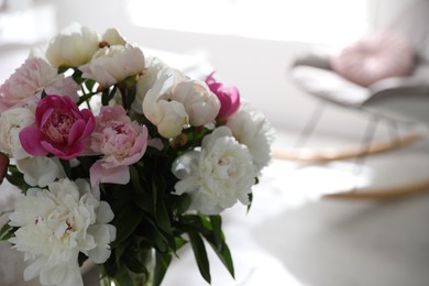 Beautiful blooming peonies against blurred background, closeup. Space for text