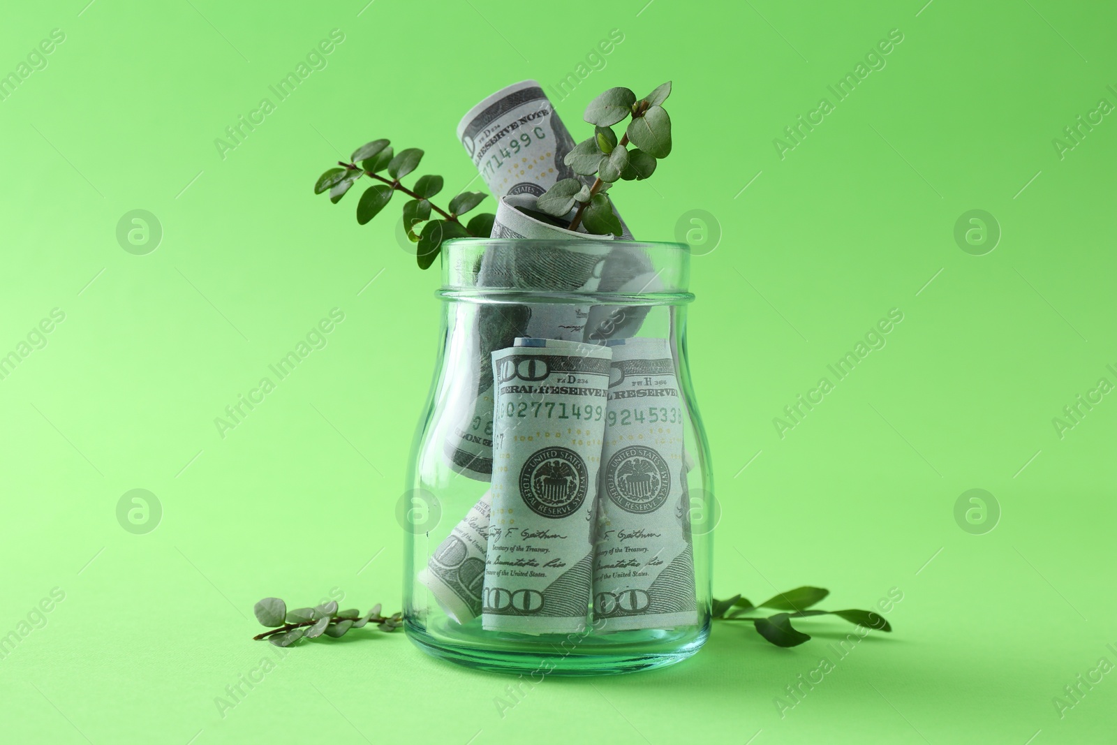 Photo of Financial savings. Dollar banknotes in glass jar and twigs on green background