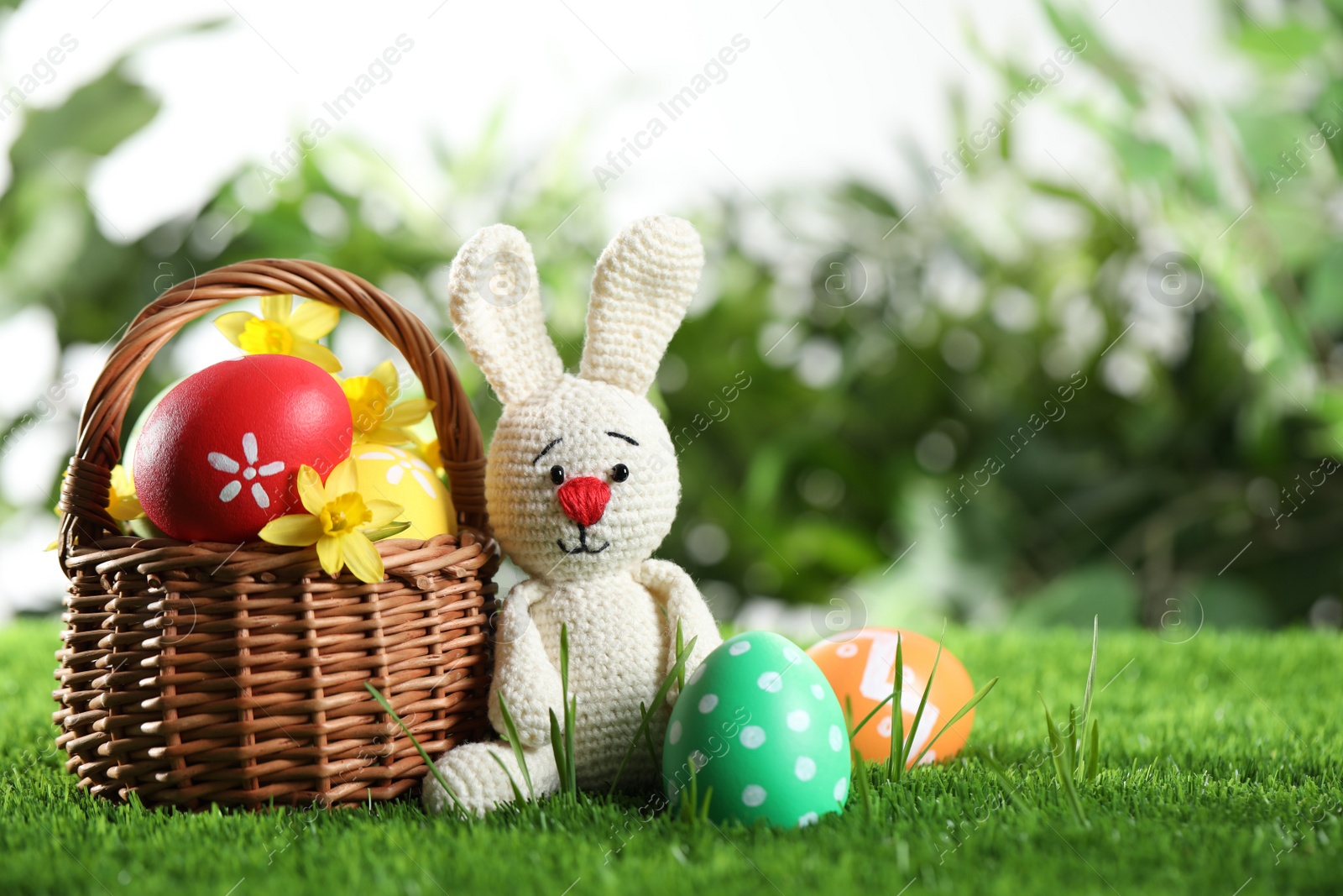 Photo of Colorful Easter eggs, toy rabbit and daffodil flowers in green grass. Space for text