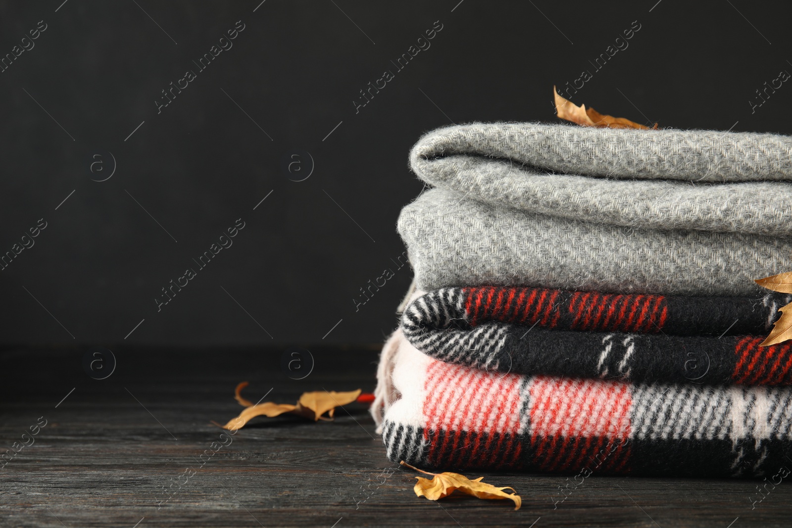 Photo of Stack of soft plaids and dry leaves on black wooden table, closeup. Space for text