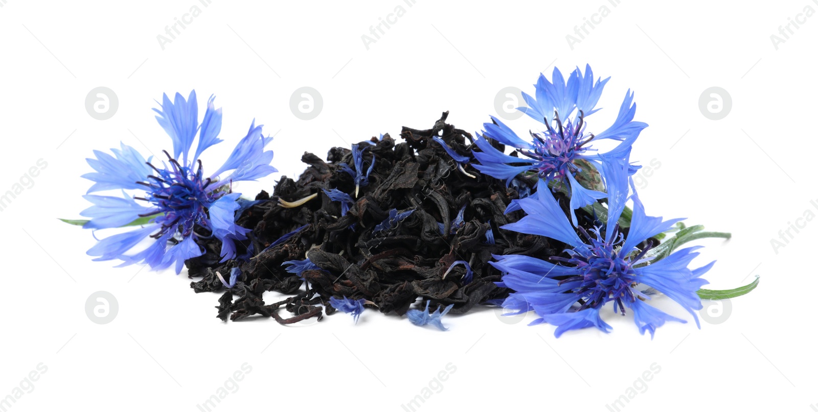 Photo of Dried cornflower tea and fresh flowers on white background