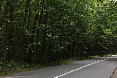 Photo of Asphalt road near trees in forest on summer day