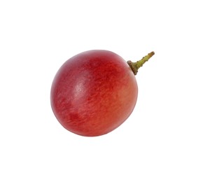 One ripe red grape isolated on white
