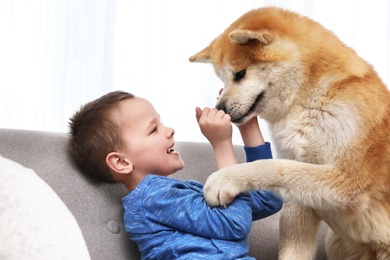 Photo of Happy boy with Akita Inu dog on sofa. Lovely friends