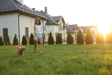 Beautiful girl walking with cute Maltipoo dog on green lawn at sunset in backyard