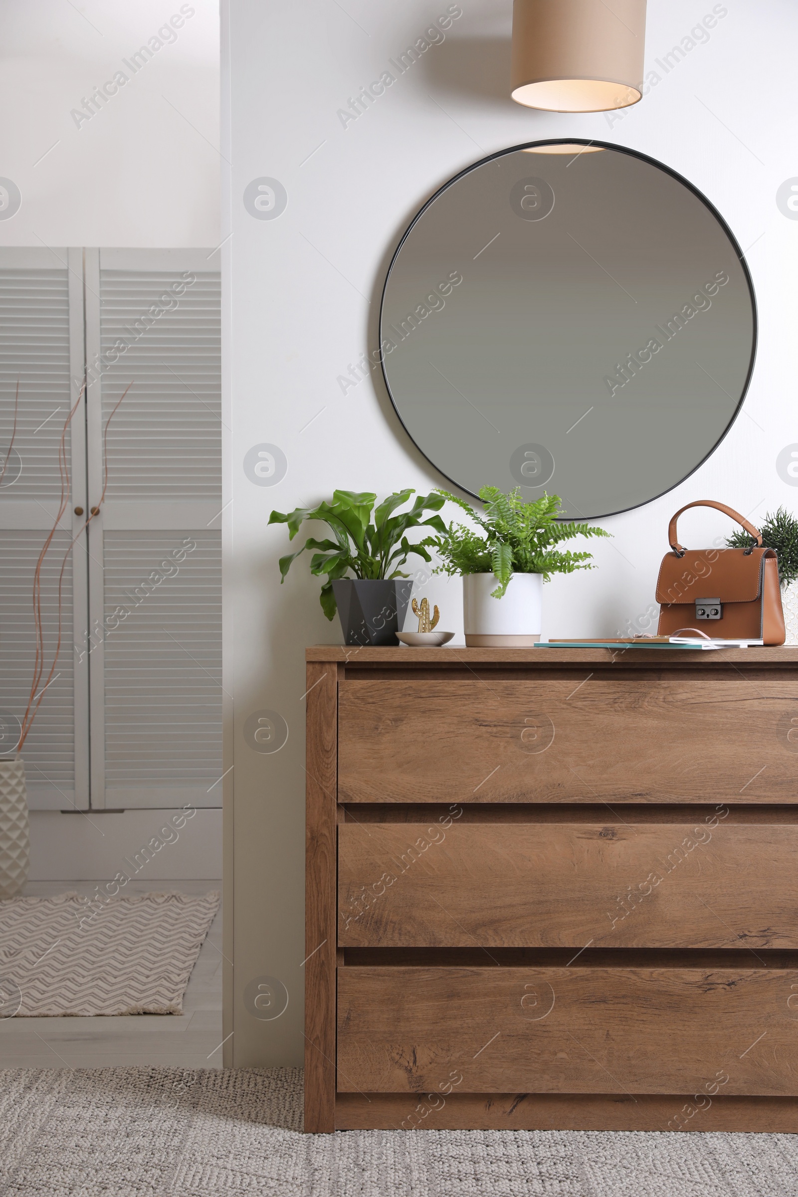 Photo of Beautiful potted ferns and accessories on wooden cabinet in hallway