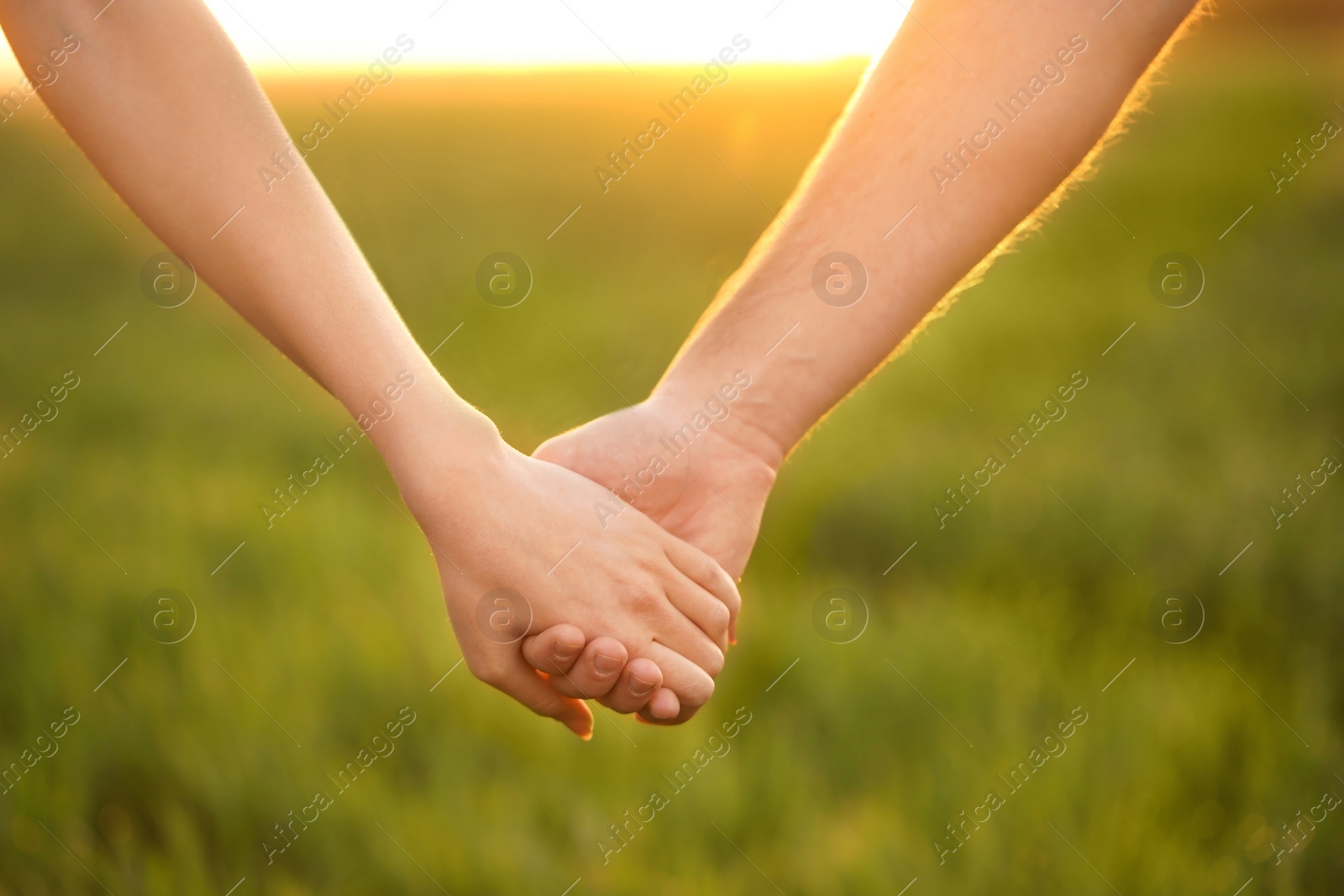 Photo of Young lovely couple holding hands in green field, closeup