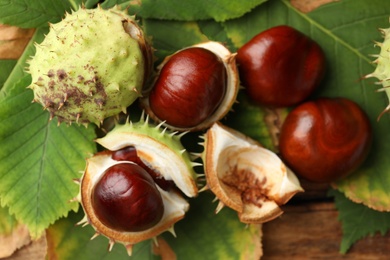Photo of Horse chestnuts and leaves on wooden table, flat lay