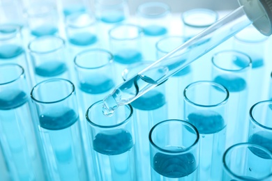 Photo of Dropping sample into test tube with light blue liquid, closeup