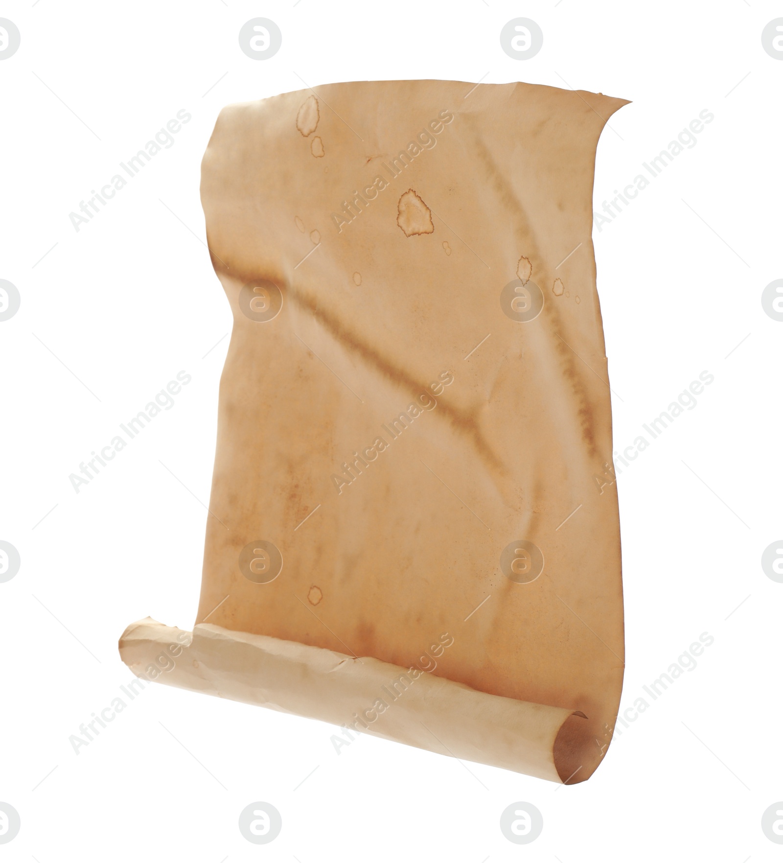 Photo of Sheet of old parchment paper isolated on white. Space for design