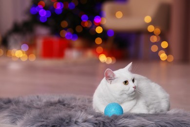 Christmas atmosphere. Adorable cat with bauble resting on rug against blurred lights. Space for text
