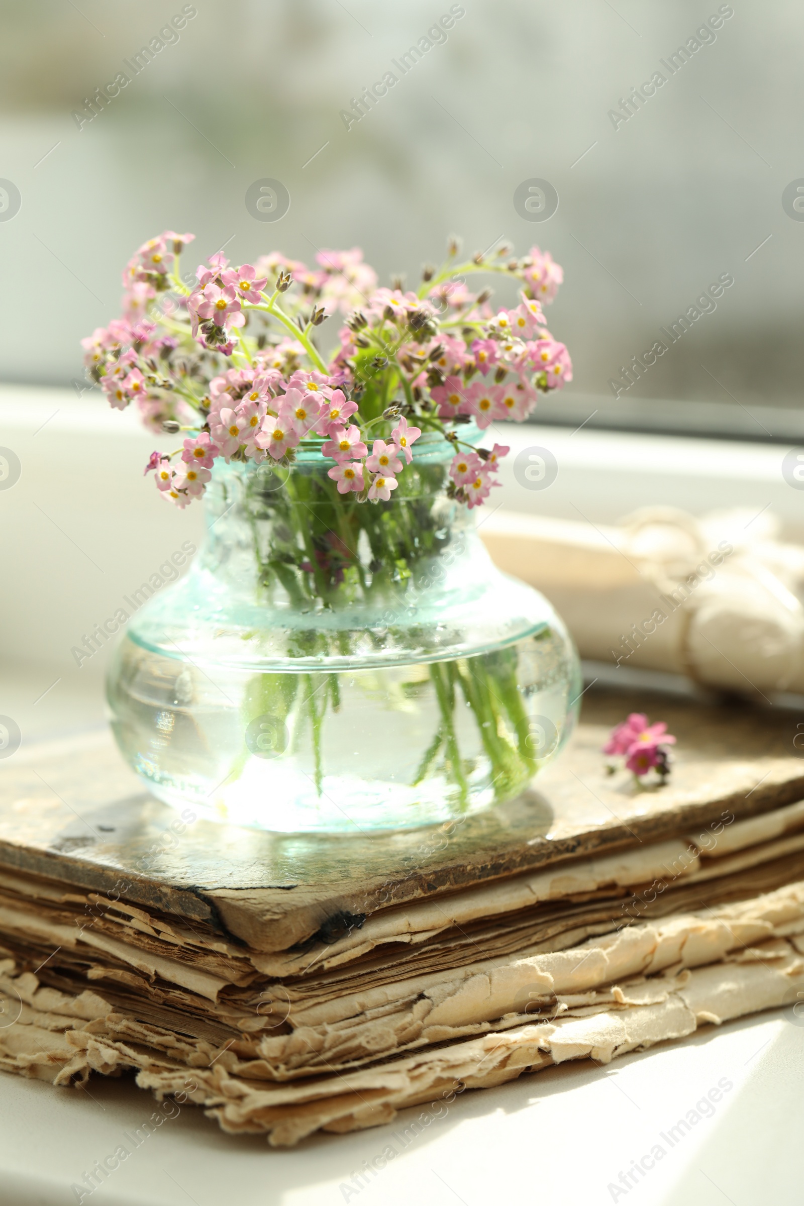 Photo of Beautiful Forget-me-not flowers and old book on window sill