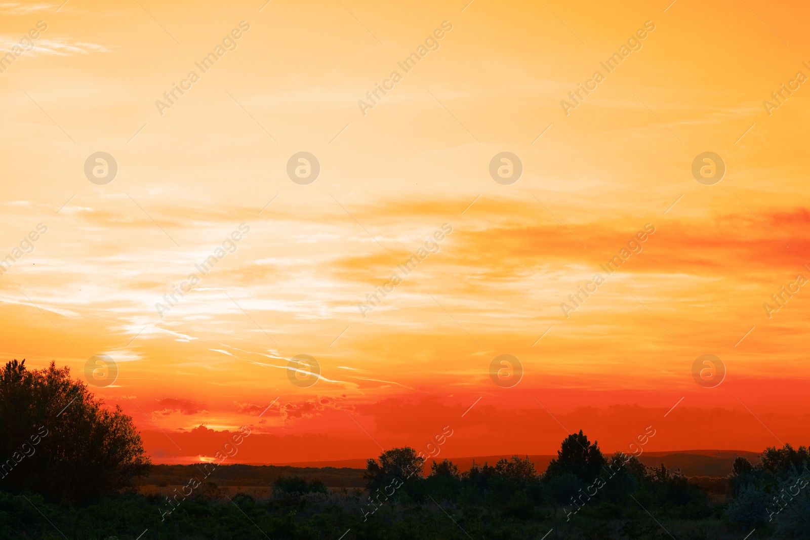 Image of Picturesque view of beautiful orange sky at sunset