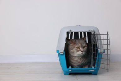 Photo of Travel with pet. Cute cat in carrier on floor near white wall indoors, space for text