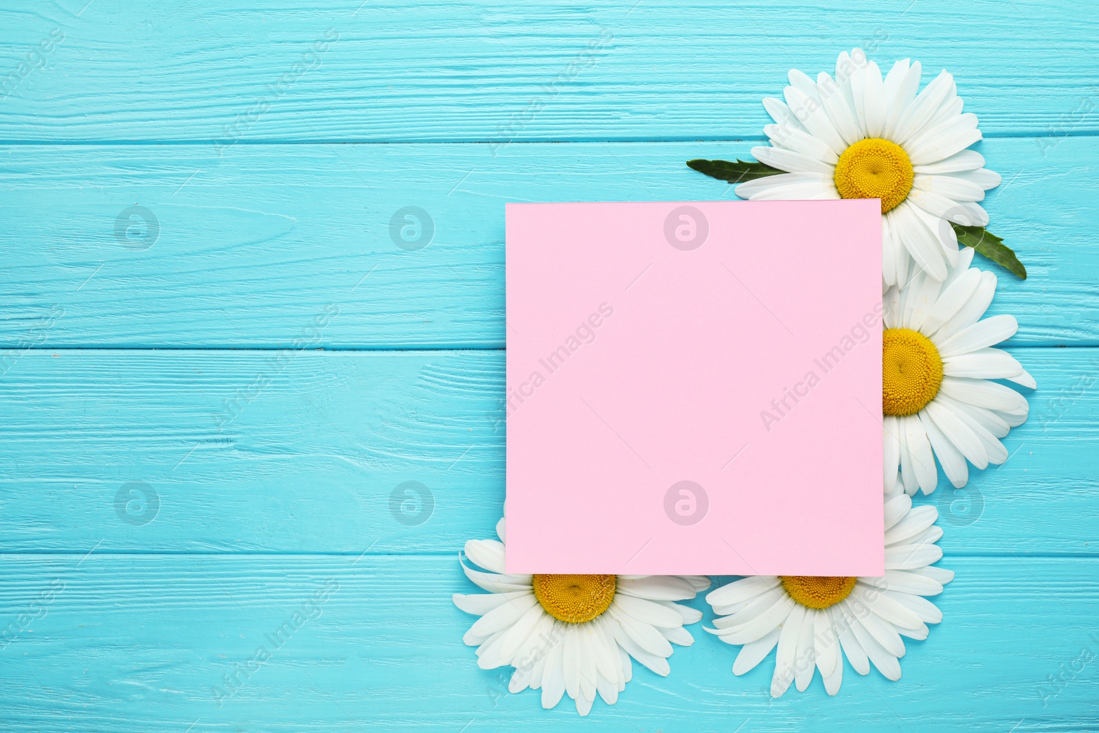 Image of Beautiful chamomile flowers and blank card with space for text on turquoise wooden background, top view