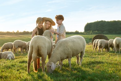 Photo of Mother and children stroking sheep on pasture. Farm animals