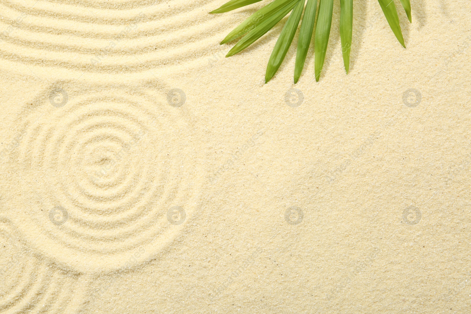 Photo of Zen rock garden. Circle patterns and green leaf on beige sand, top view