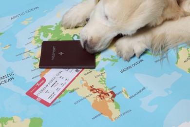 Photo of Dog lying near passport and ticket on world map, closeup. Travelling with pet