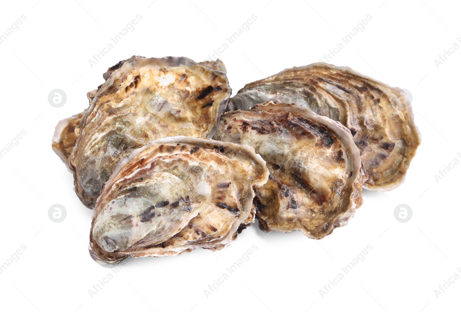 Photo of Fresh raw closed oysters on white background