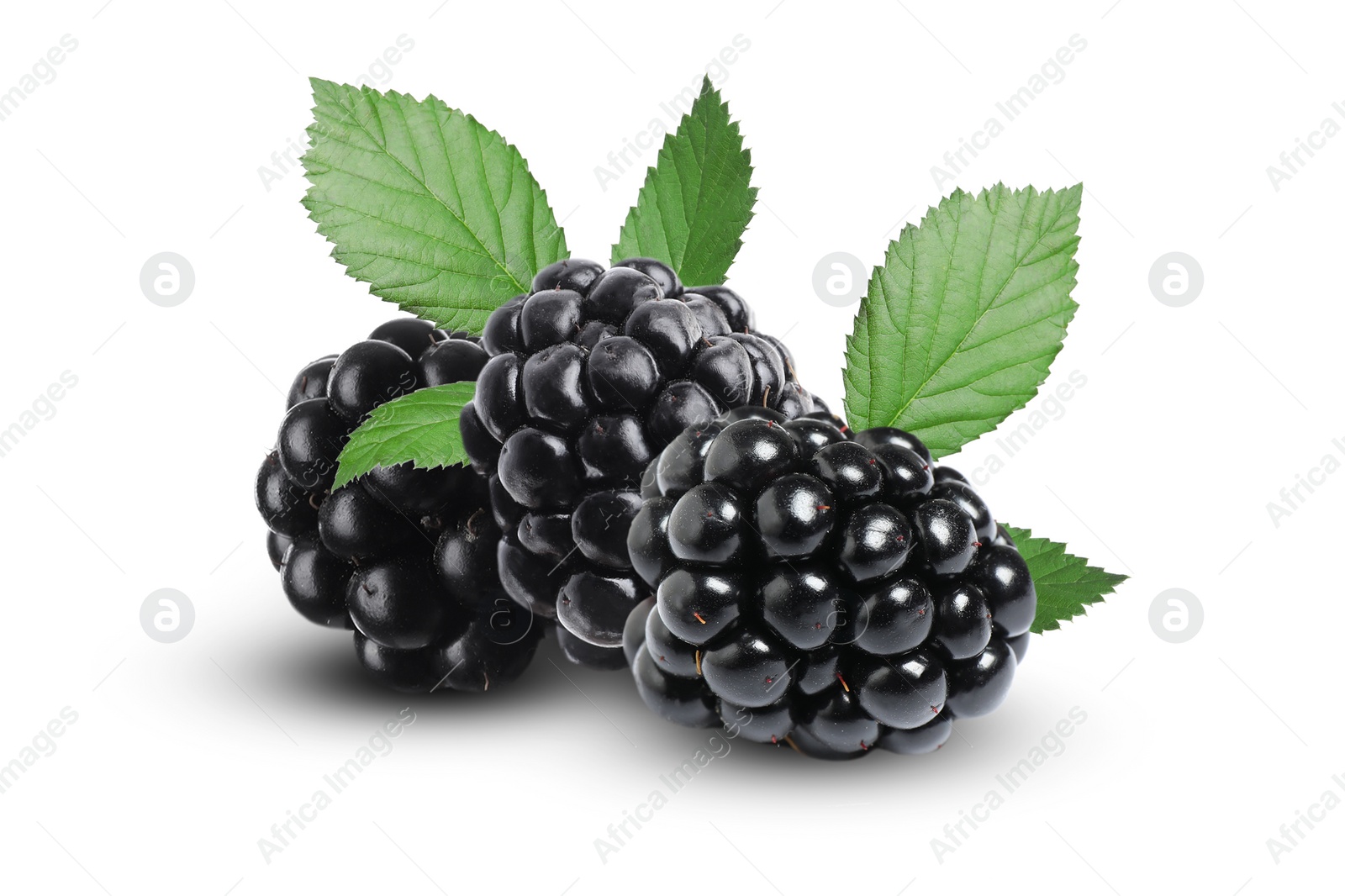 Image of Fresh ripe blackberries with green leaves on white background