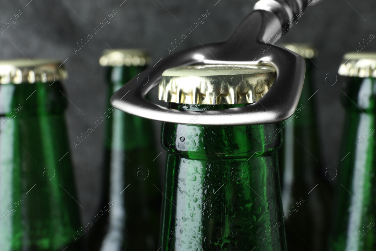 Photo of Opening bottle of tasty cold beer on grey background, closeup