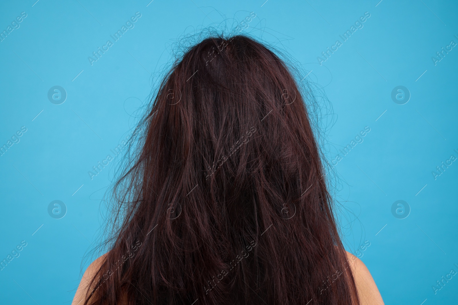 Photo of Woman with damaged hair on light blue background, back view