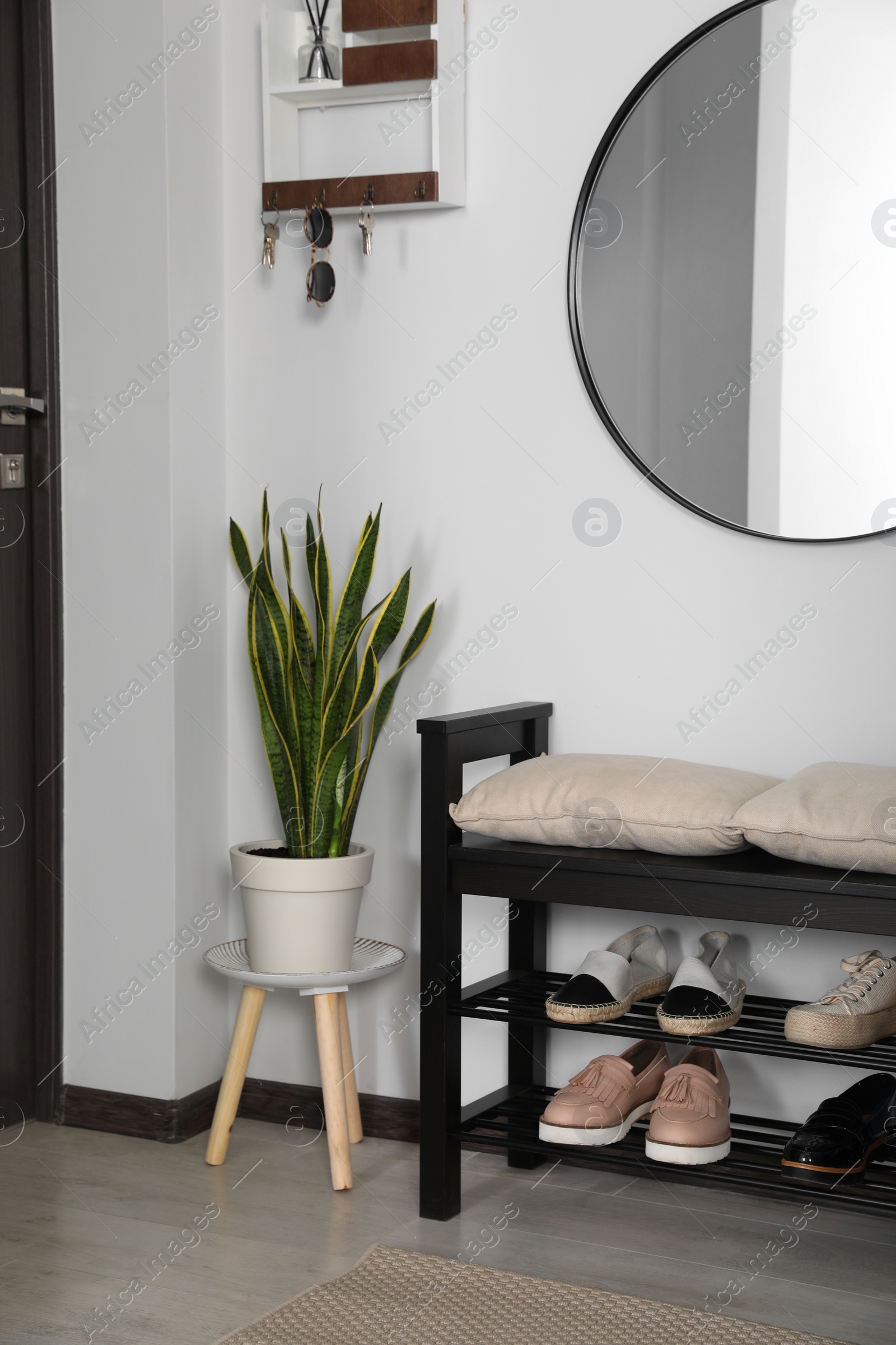 Photo of Hallway interior with shoe storage bench and houseplant