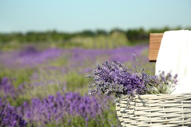 Photo of Wicker bag with beautiful lavender flowers on wooden bench in field, space for text