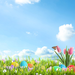 Image of Bright Easter eggs and flowers in green grass against blue background, space for text