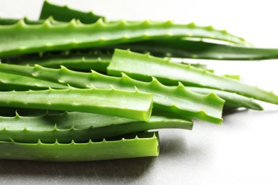 Fresh aloe vera leaves on gray table