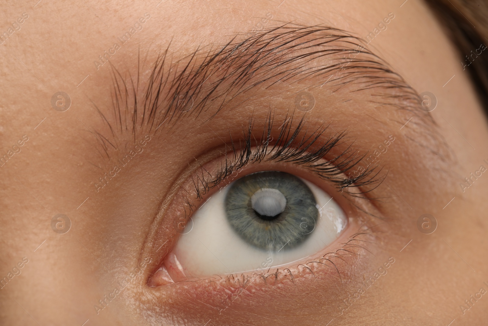 Photo of Woman with beautiful natural eyelashes, closeup view