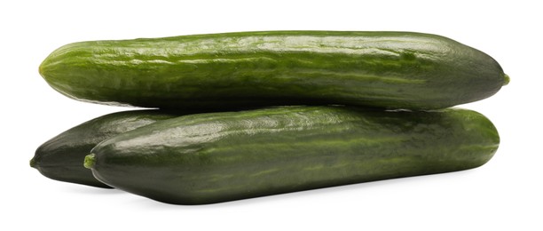 Many long fresh cucumbers isolated on white