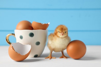 Photo of Cute chick with cup, eggs and pieces of shell on white wooden table, closeup. Baby animal