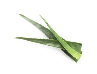 Photo of Green aloe vera leaves on white background, top view