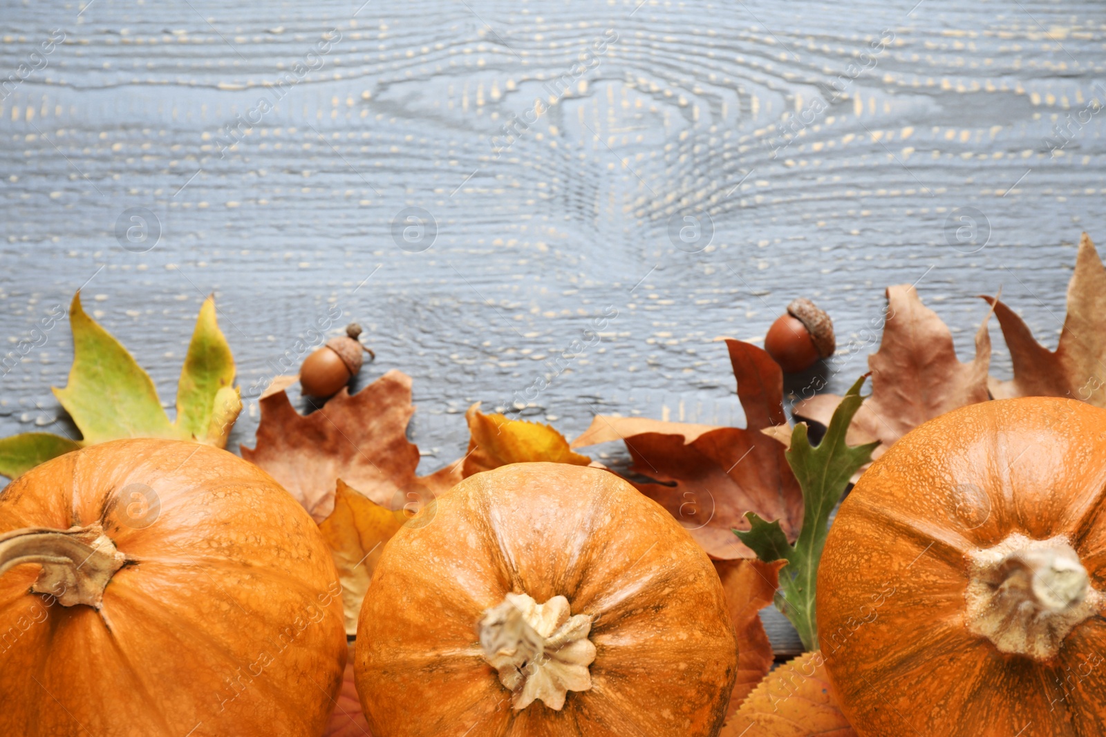 Photo of Ripe pumpkins on wooden background, flat lay with space for text. Holiday decoration