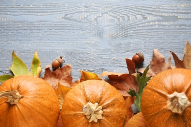 Photo of Ripe pumpkins on wooden background, flat lay with space for text. Holiday decoration