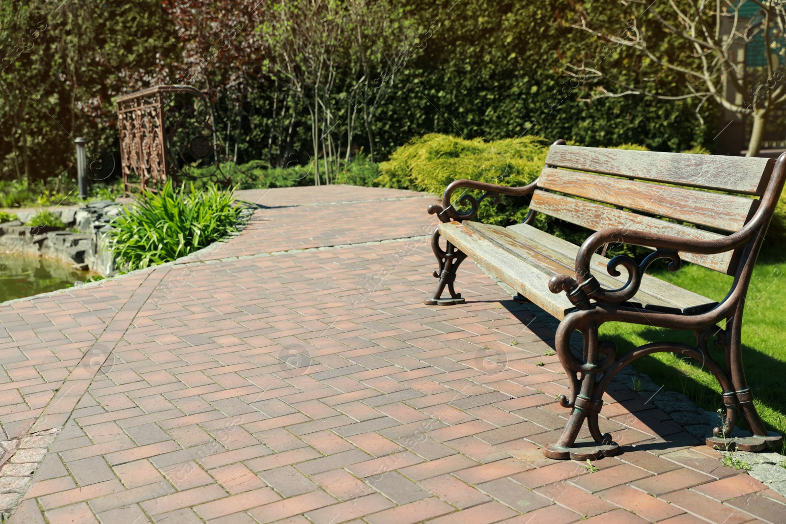 Photo of Beautiful view of wooden bench in park