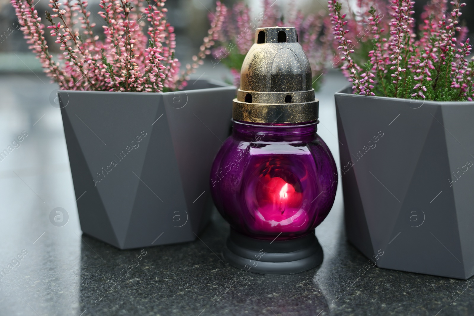 Photo of Grave light and potted heather on granite surface at cemetery, closeup