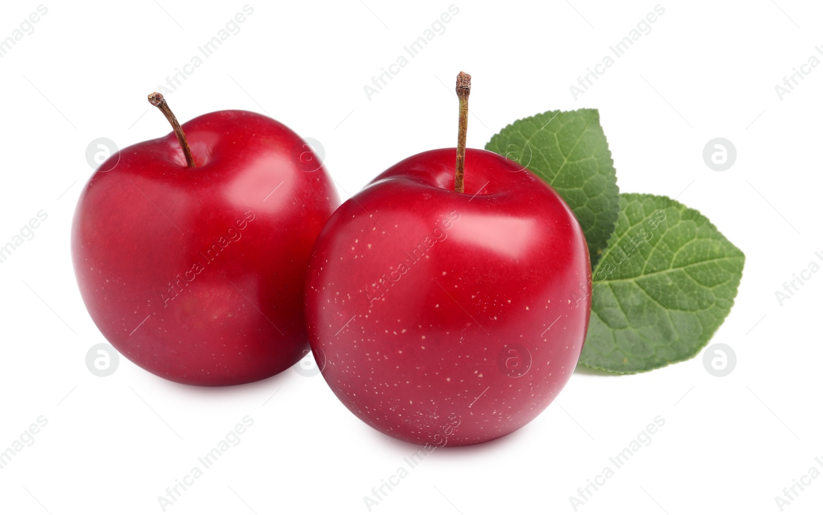 Photo of Delicious ripe cherry plums with leaves on white background