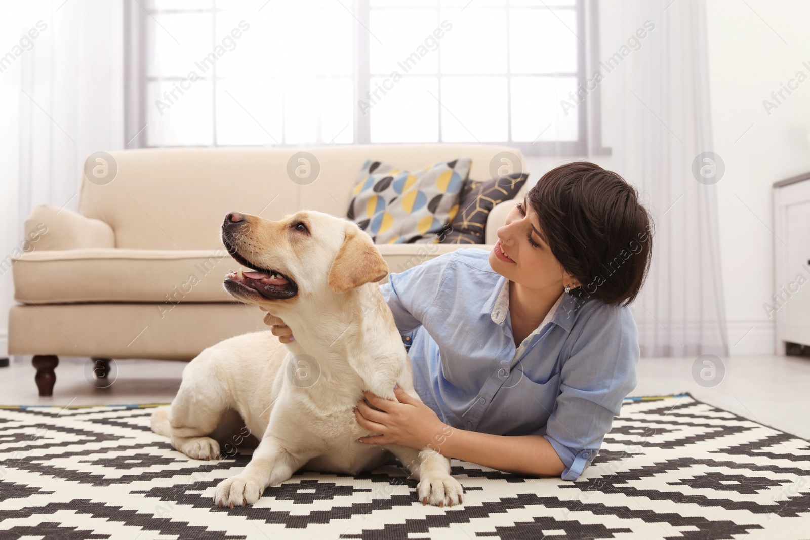 Photo of Adorable yellow labrador retriever with owner at home