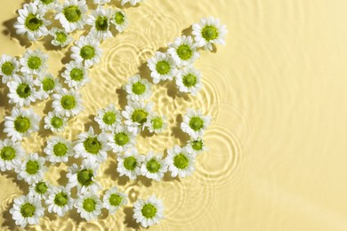 Photo of Beautiful chrysanthemum flowers in water on pale yellow background, top view. Space for text