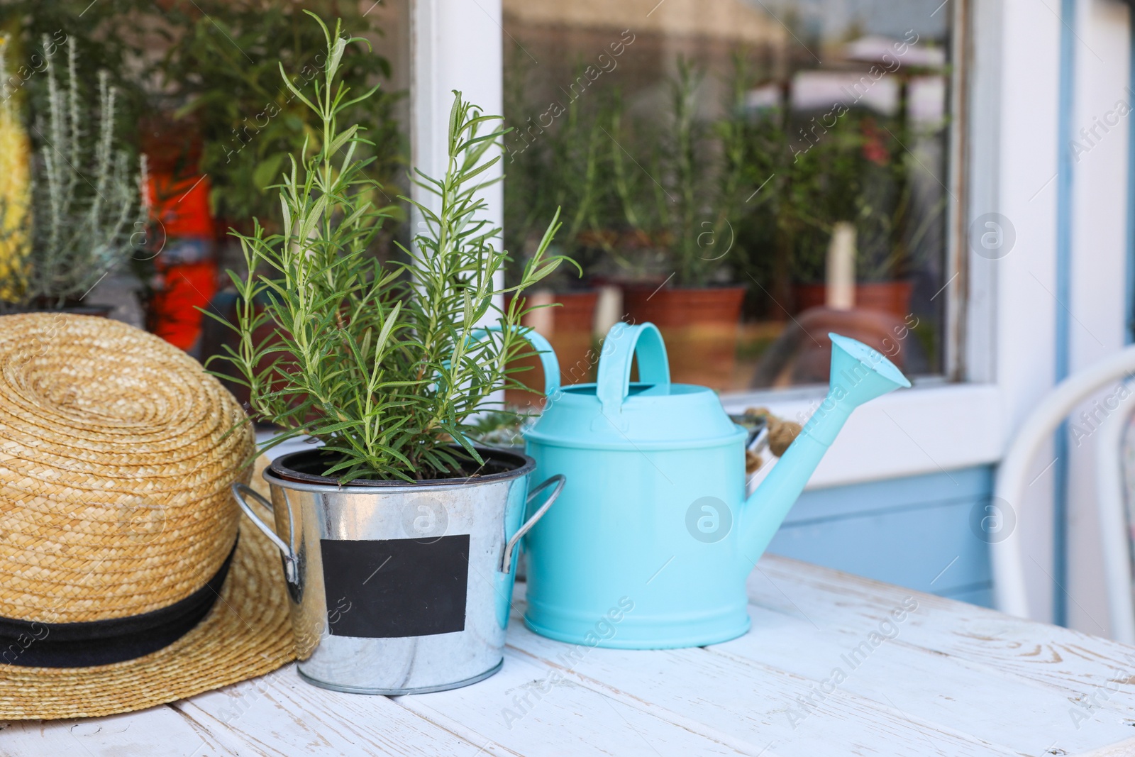 Photo of Potted plant, watering can and straw hat on white wooden table near window. Gardening tools