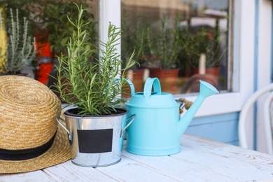 Photo of Potted plant, watering can and straw hat on white wooden table near window. Gardening tools