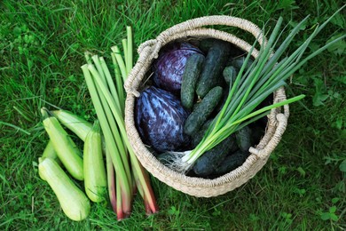 Photo of Tasty vegetables with wicker basket on green grass, top view