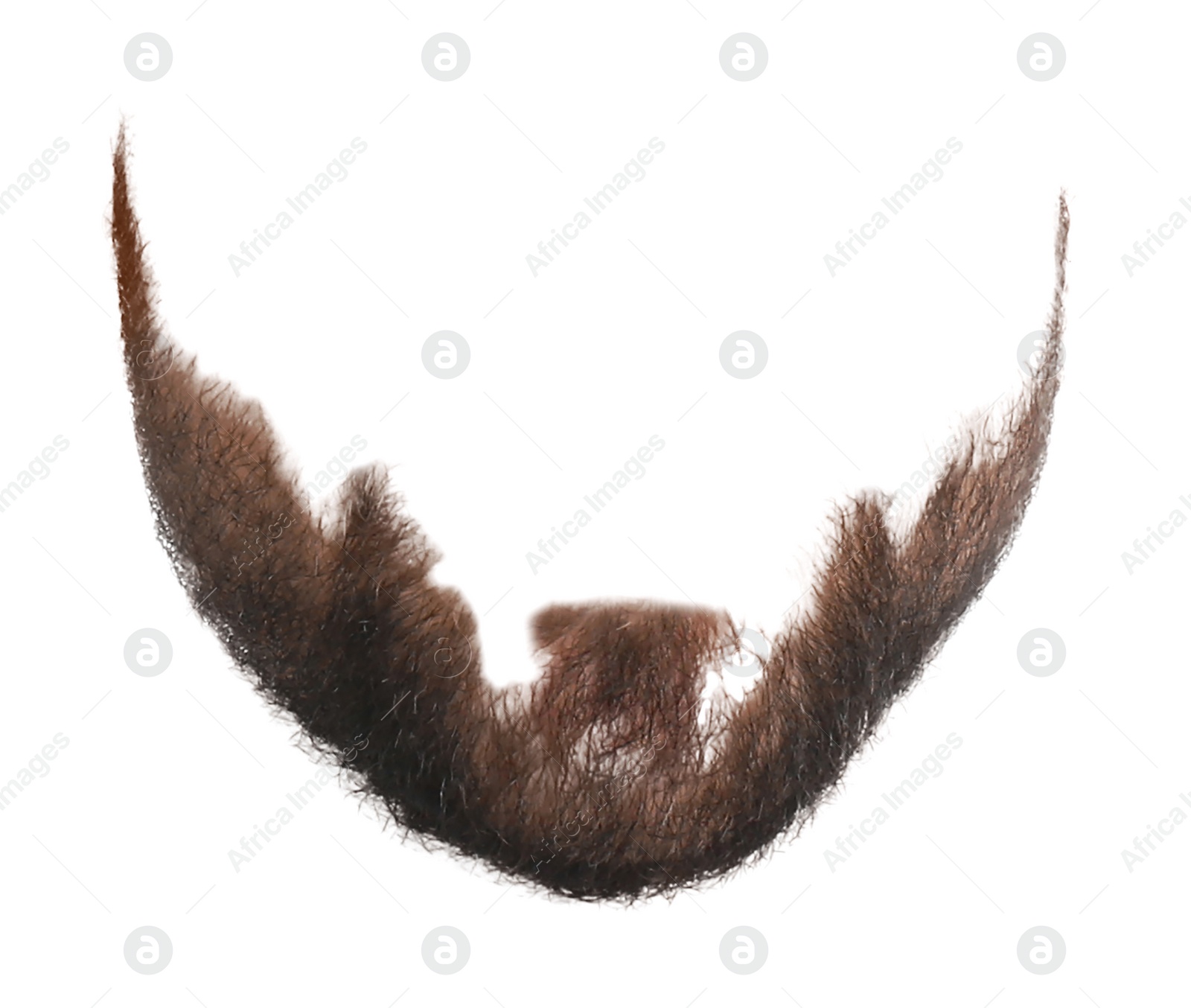 Image of Stylish brown beard isolated on white. Facial hair