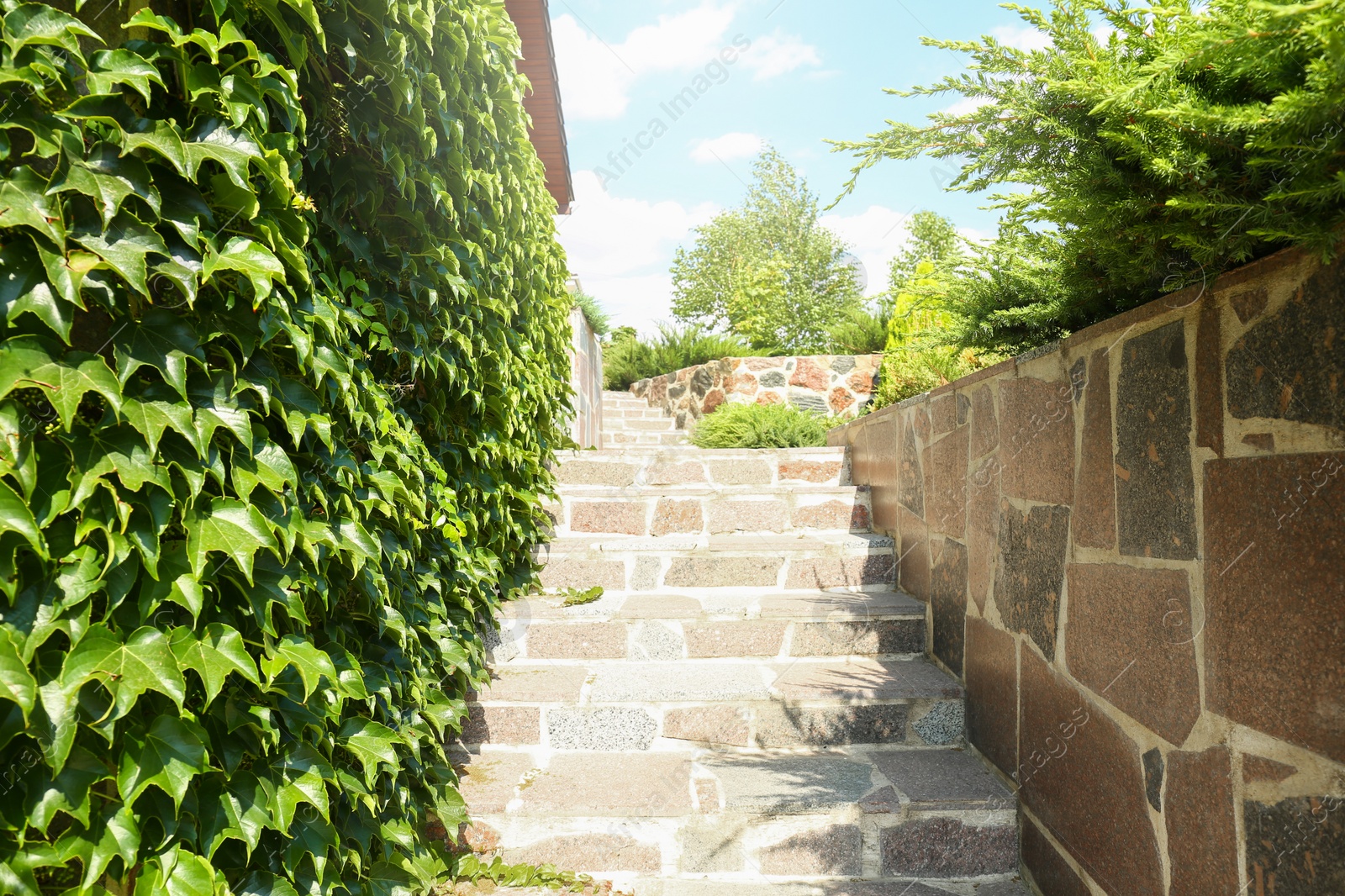 Photo of Landscape with beautiful garden and stone stairs on sunny day