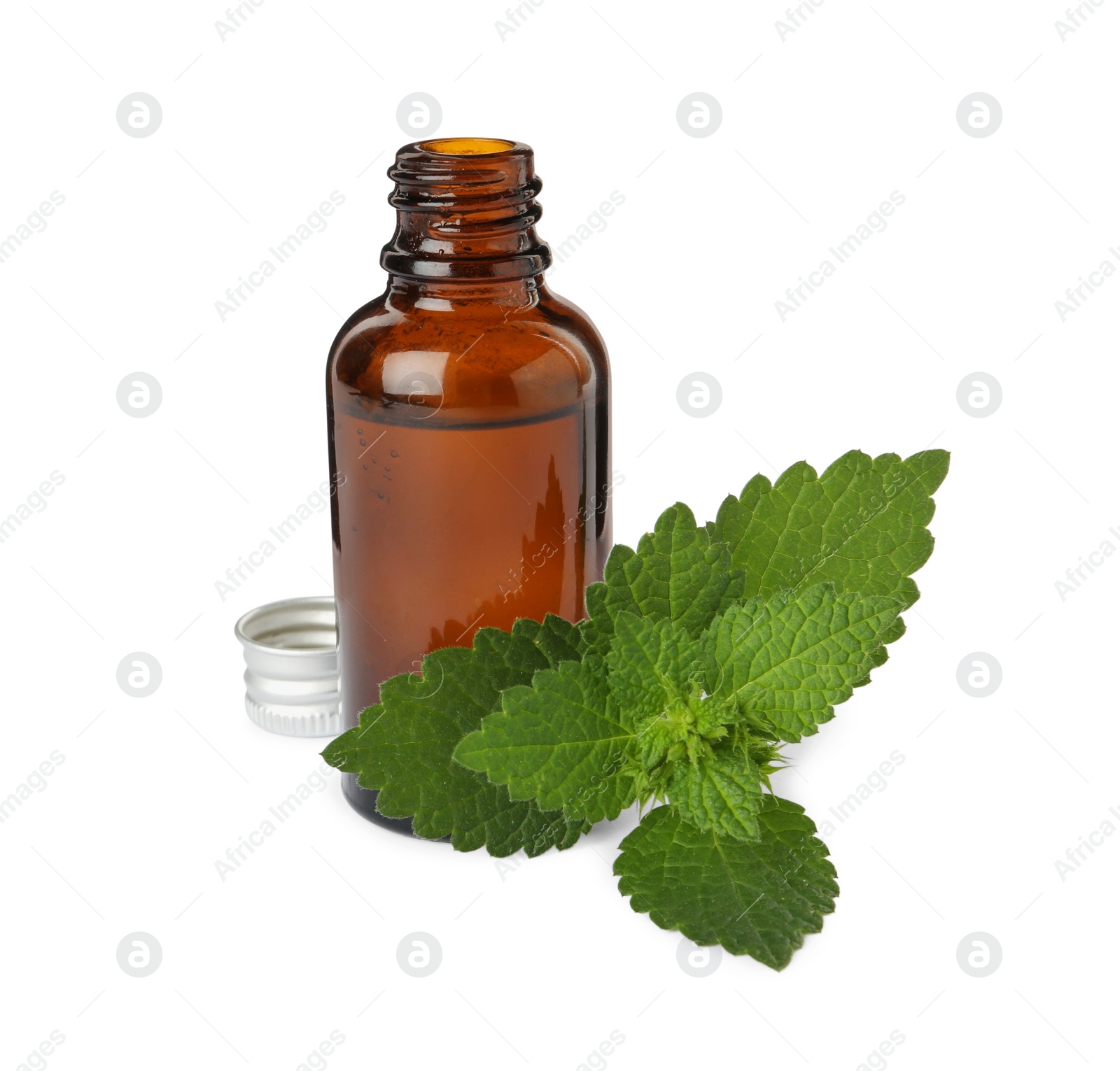 Photo of Glass bottle of nettle oil with leaves isolated on white