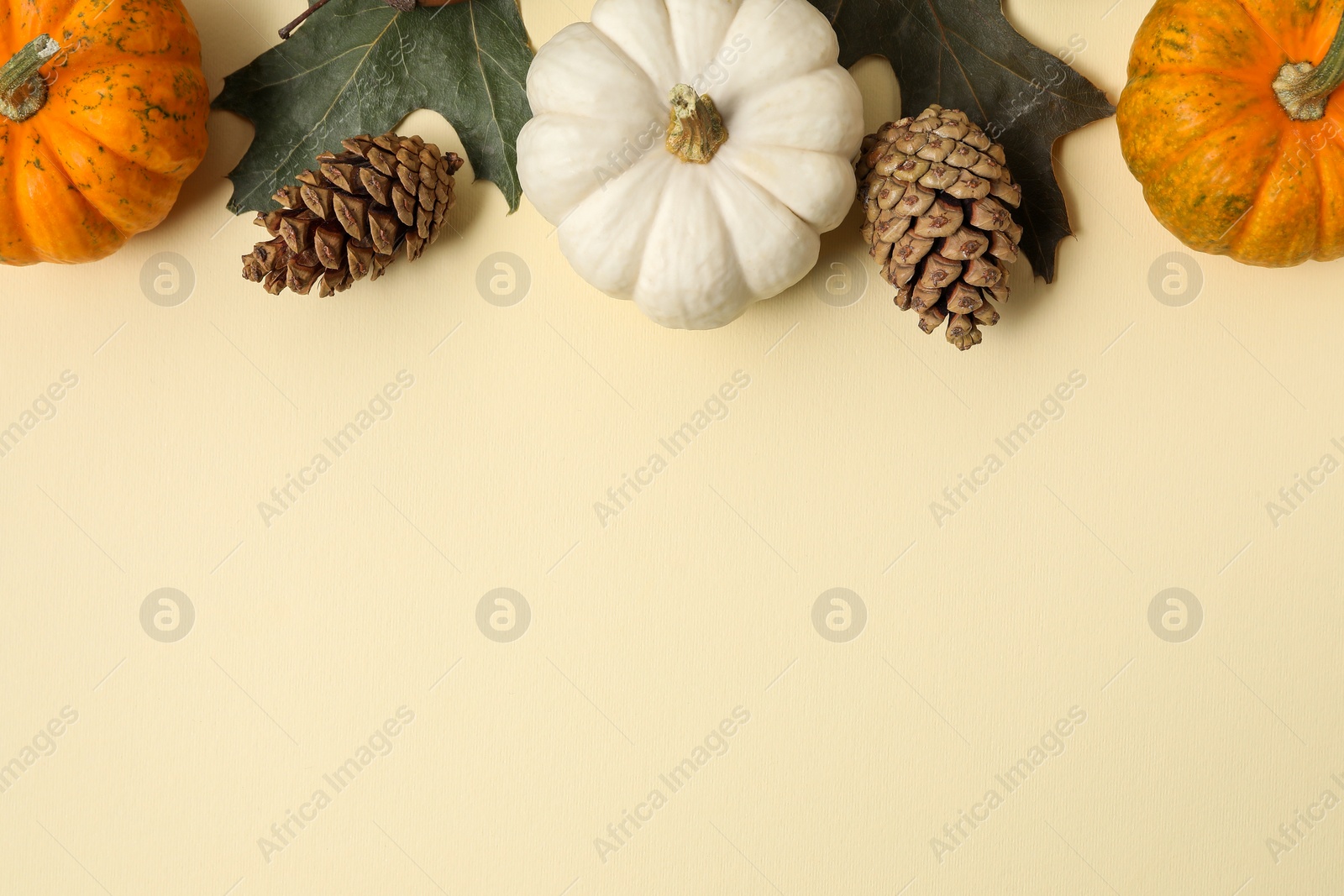 Photo of Thanksgiving day. Flat lay composition with pumpkins on beige background, space for text